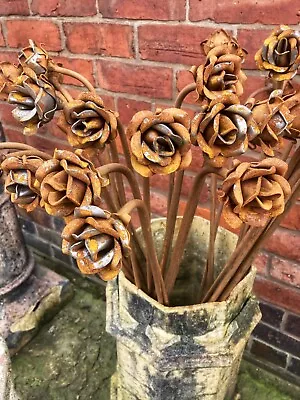 Rusty Metal Garden 1 Metre Flower Stakes - Choose Selection Poppy Rose • £10