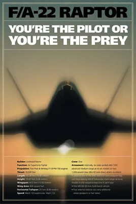 US Air Force F-22 Raptor PILOT OR PREY American Military 24x36 Wall POSTER • $17.99