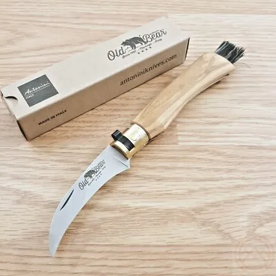 Old Bear Mushroom Folding Knife 2.75  420 Steel Curved Blade Olive Wood Handle • $31.49