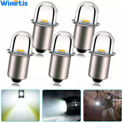 Upgrade LED Flashlight Bulb 18V P13.5S Base Socket White LED Replacement Bulbs • $9.98