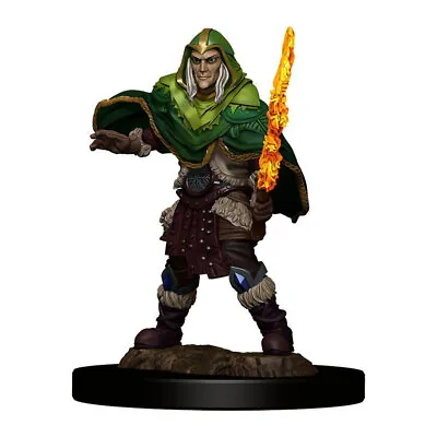 $20.95 • Buy Dungeons & Dragons Premium Male Elf Fighter Pre-Painted Figure
