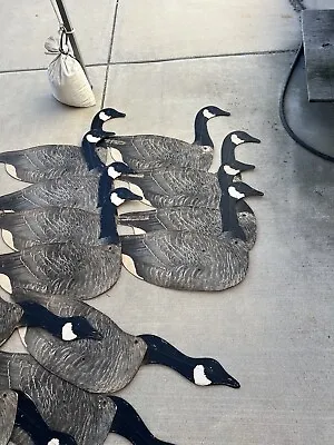 Vintage Johnsons Folding Canadian Geese Decoys Set 12 Flat Goose Decoys • $110