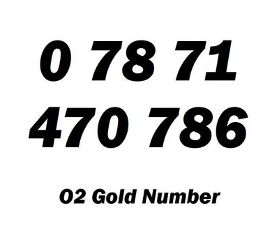 Gold Number Vip Easy Sim Card Mobile Go Platinum Pay You UK Golden Memorable 786 • £23.68