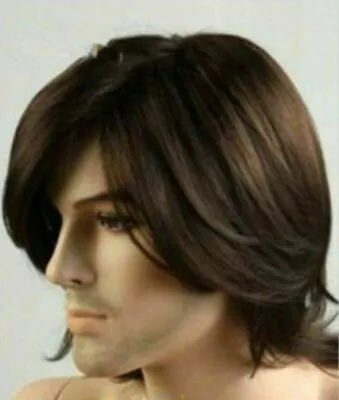 Fashion Men's Man Medium Long Dark Brown Cosplay Natural Hair Wigs+free Wig Cap • $16.48