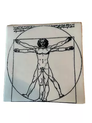 Porteous 6 X6  Art Tile Da Vinci's Vitruvian Man • $25