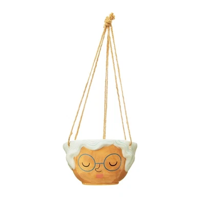 £5.95 • Buy Sass & Belle Rose Hanging Planter Plant Pot Flower Holder XDC379