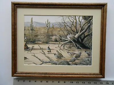 Maynard Reece SONORAN DESERT-GAMBELS QUAIL 11x14 Framed 3.25 513 • $35