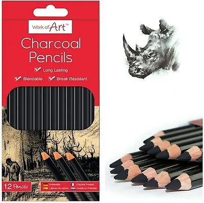 72 Pcs Sketching Pencils Charcoal Tones Drawing Shades Art Artist Graded Studio • £9.99