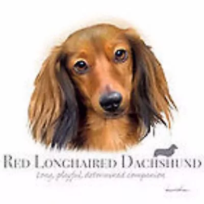 Red Longhaired Dachshund Robinson Tote • $9.99