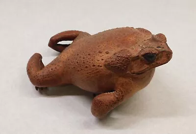 Vintage Stuffed Taxidermy Real Brown Frog/Toad Figure • $26