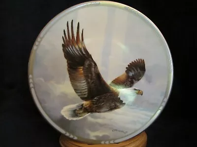 BALD EAGLE Collector Plate MARIO FERNANDEZ Rise Above The Storm RARE • $75