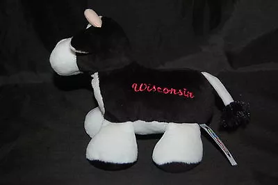 Wisconsin Holstein Cow Black White Dairy State Mary Meyer Plush 7  Toy Lovey • $16.99