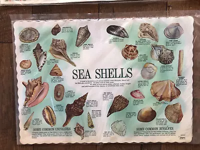 Vintage MCM Paper Disposable Placemat Sea Shell Print  Guide Beach Decor! • $13.49