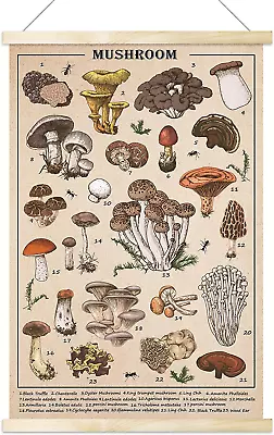 Vintage Mushroom Poster Wall Art Prints Colorful Rustic Style Of Mushroom • $17.30