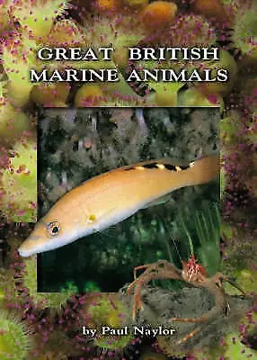 Great British Marine Animals By Paul Naylor (Paperback 2003) • £2.93