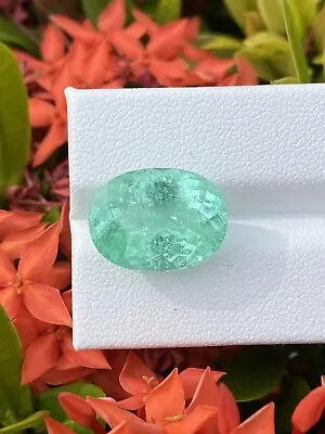 GIA Certified 10.70 CT 100% Natural Neon Green Paraiba Tourmaline Mozambique GEM • $3303.90