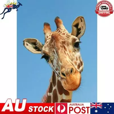 (DE3355) 5D DIY Full Drill Diamond Painting Cross Stitch Embroidery (Giraffe-k56 • $12