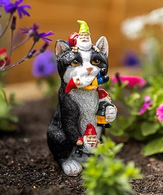 Gnome Eating Cat Ornament Garden Home Patio Decking Flower Bed Standing Kitten • £12.99