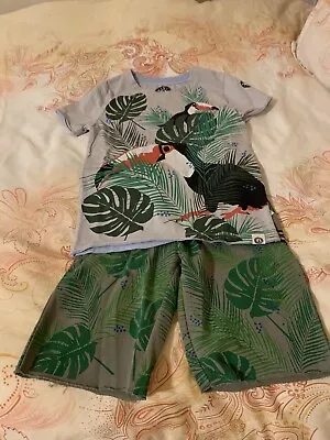 Designer Breathtaking Organic Cotton Toucan Shirt & Pants Set NWT 6T • $49