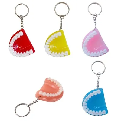 Mini Tooth Model Keychain Bag Ornament Backpack Charm Pendant Car Keychain • £5.22