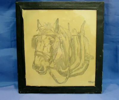 Vintage 1930's Signed Pencil Drawing Shire Horse Harness Animal 8  X 8  Glass • £15