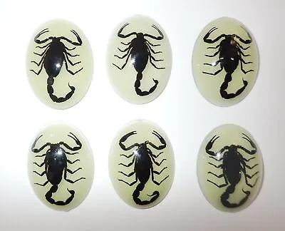 Insect Cabochon Black Scorpion Specimen Oval 30x40 Mm Glow 10 Pieces Lot • £22.99