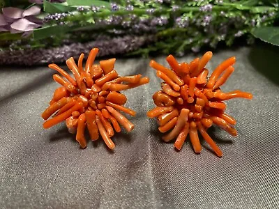 Vintage 1970s Genuine Coral Branch Cluster Screw Back Earrings • $27.50
