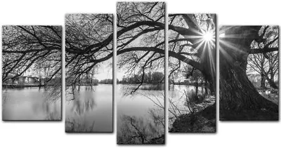 Black And White Tree 5 Pieces Modern Canvas Painting Wall Art 44 X 24 X 0.2 Inch • $30