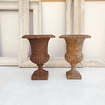 Antique Small French Cast Iron Urns Set Of 2 Circa 1890 • $298.40