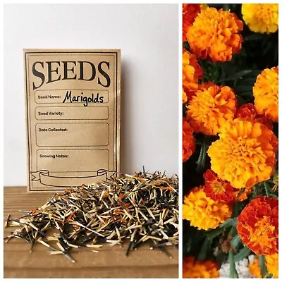 Marigold Seeds Sparky Mixture | Fresh Garden Seeds - Flower Seeds • $4.40