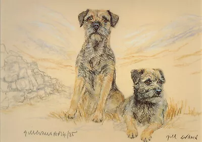 £17.95 • Buy Border Terriers Print, Border Terriers Picture, Gill Evans AP42P