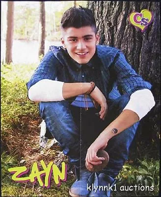 Zayn Malik - 3 POSTERS Centerfolds Lot 2809A Louis Tomlinson One Direction Back • £8.65