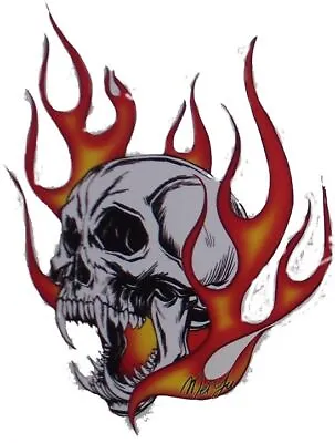 Angled Skull Flames Decal Sticker Window Decals Graphics Stickers Hot Rod Street • $21.99