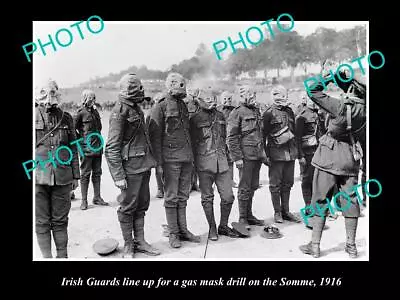 OLD 8x6 HISTORIC PHOTO OF BRITISH ARMY IRISH GUARD WITH GAS MASKS C1916 • $9