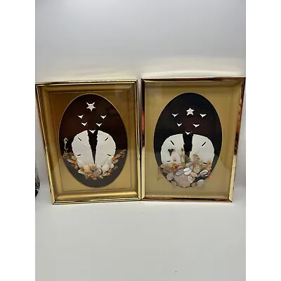 Set Of Two Sand Dollar Shells Framed Art Picture Shadow Box Vintage 1970s • $30