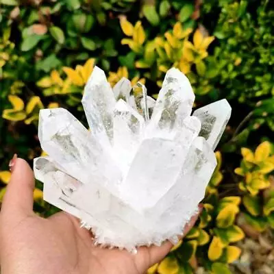£7.05 • Buy Natural Clear Cluster Crystal Quartz Healing Specimen Mineral Reiki FAST