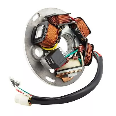 MF1036 - Stator Magnet Vespa Px 125 150 200 Rainbow Start Electric • $117.08