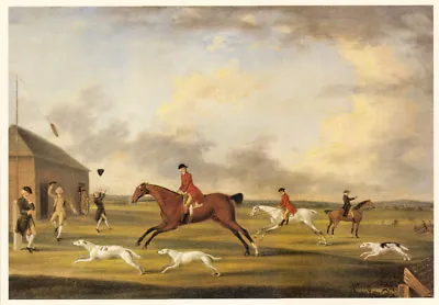 GREYHOUND COURSING HORSE DOG FINE ART PRINT (Small) Francis Sartorius Newmarket • £7.50