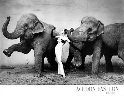 Richard Avedon Dovima With Elephants Paris 1955 Photo Poster 23 X 30 • $100