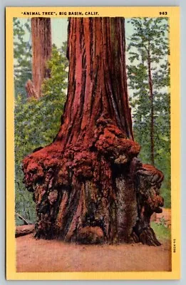 Vintage California Postcard - Animal Tree - Big Basin • $4.68