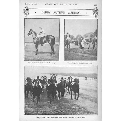 HORSE RACING The Derby Autumn Meeting - Antique Print 1902 • £7.99