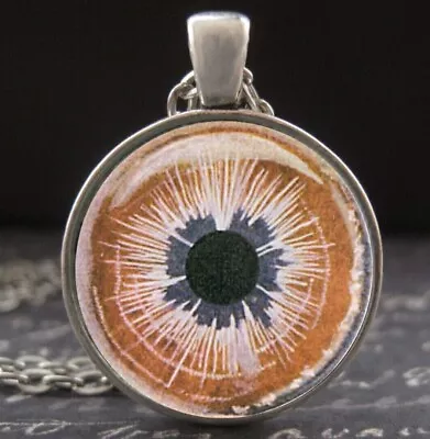 Vintage Iridiagnosis Analysis Chart Eye Iris Magnifying Glass Iridology Necklace • $25