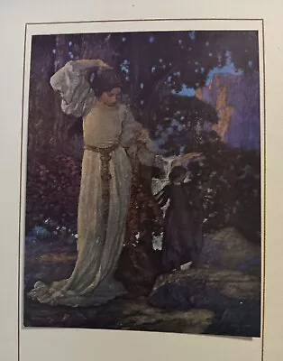 RARE 1912  7 POOLS At CINTRA  Orig. Maxfield Parrish Art Print FOREST PRINCESS • $110