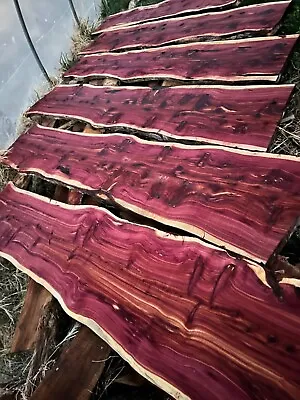Aromatic Red Cedar Slabs / Kiln Dried Flattened Planed / Various Sizes • $120