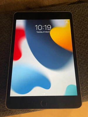$185 • Buy Apple IPad Mini 4 64GB, Wi-Fi, 7.9in - Space Grey (AU Stock)