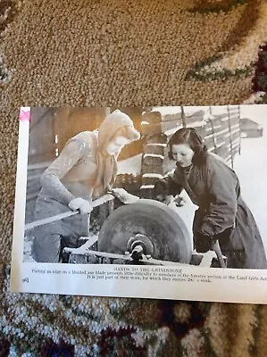 A2i Ephemera Ww2 Picture British Land Army Girls Working • £2.65