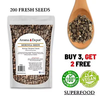 Moringa Seeds 2 Oz. Wingless Semillas De Moringa Pepa Oleifera Approx. 200 Seeds • $6.95