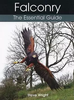 Falconry: The Essential Guide - Hardcover By Wright Steve - GOOD • $14.96