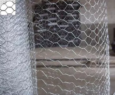 £9.99 • Buy Galvanised Steel Chicken Rabbit Wire 10m 5m 2 Widths Mesh Aviary Fencing Garden