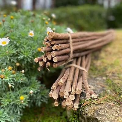 £23.99 • Buy Willow Pea & Bean Garden Plant Support Canes Sticks Stakes 120cm (Pack Of 40) 